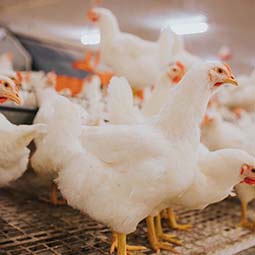 3 Ways Artificial Intelligence are Transforming Construction